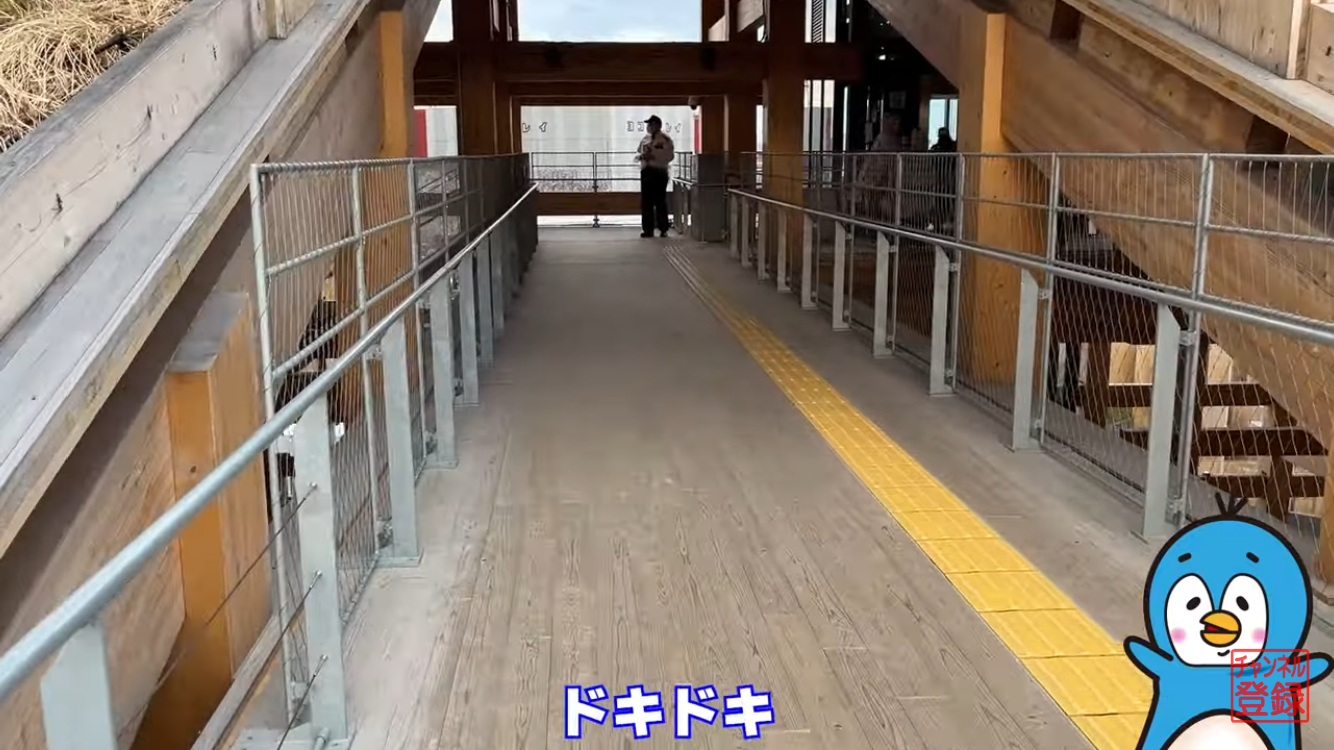 ５号機