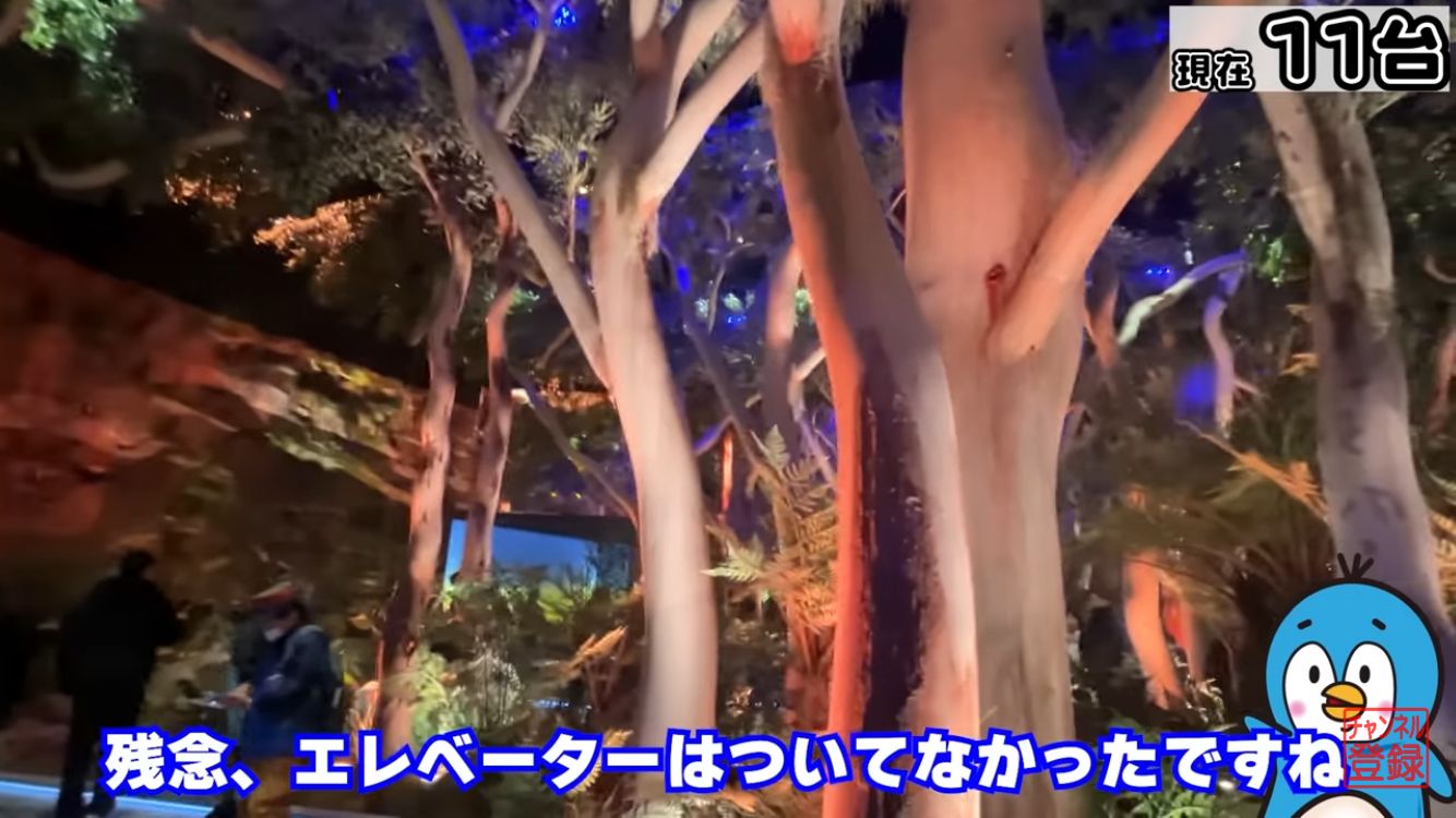 オーストラリア